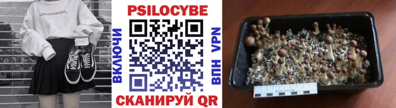 Галлюциногенные грибы MAGIC MUSHROOMS  Купить закладки  Иноземцево 